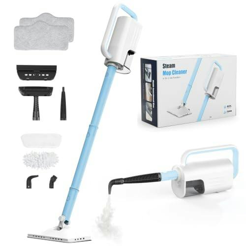 Steam Cleaner