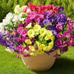 Artificial Flowers