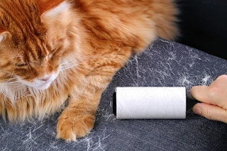 a woman using a lint roller on a couch