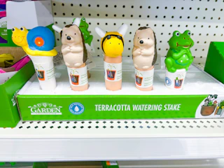 dollar tree watering stake