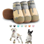 Dog Shoes