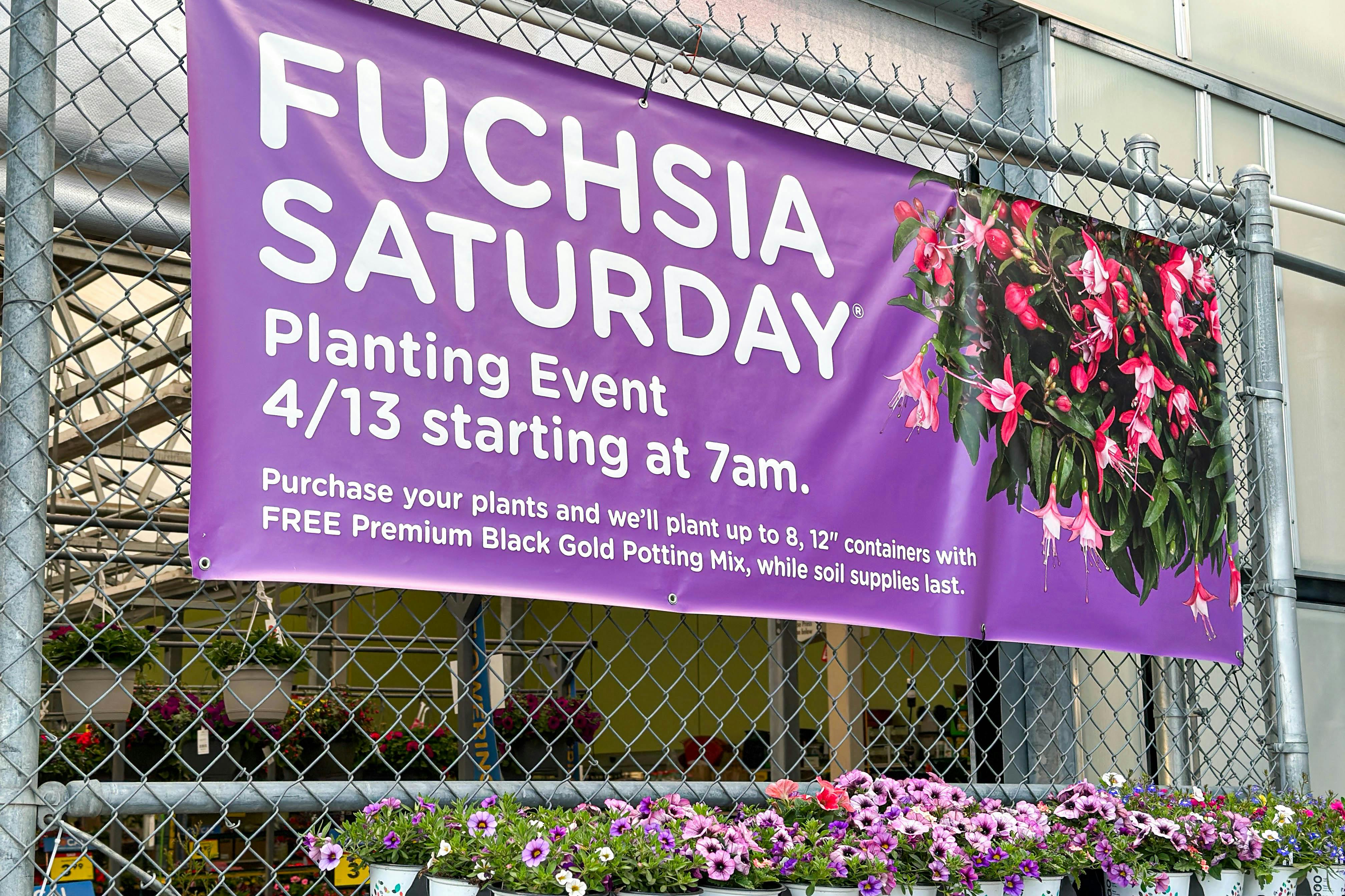 Fred Meyer Fuchsia Saturday 2025 Get Up to 25 in Free Potting Soil