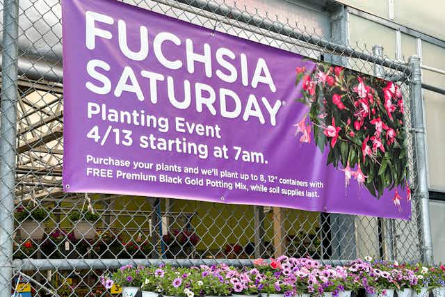 Fuchsia Saturday Is Today, April 13! Get Free Potting Soil at Fred Meyer card image