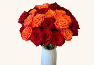 rose farmers rose dozens 123 b 1674754033 1674754034