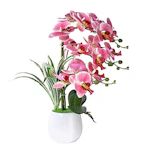 W&W Artificial Orchid