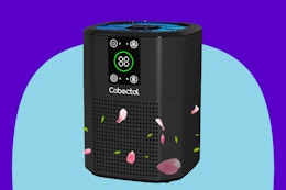 4.4-Star Air Purifier Drops to Just $19.59 With Amazon Discounts (Reg. $70) card image