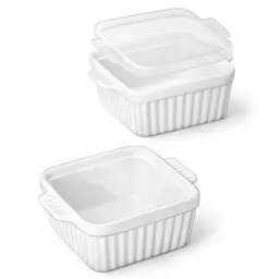 Baking Dishes 2-Pack