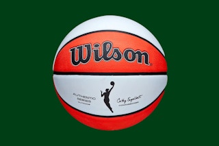 Stock image of a Wilson Basketball 