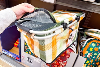 hand holding an aldi live in style foldable basket cooler