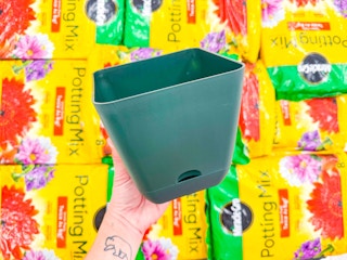 room-essentials-planters-target1