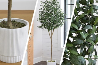 qvc artificial olive tree collage