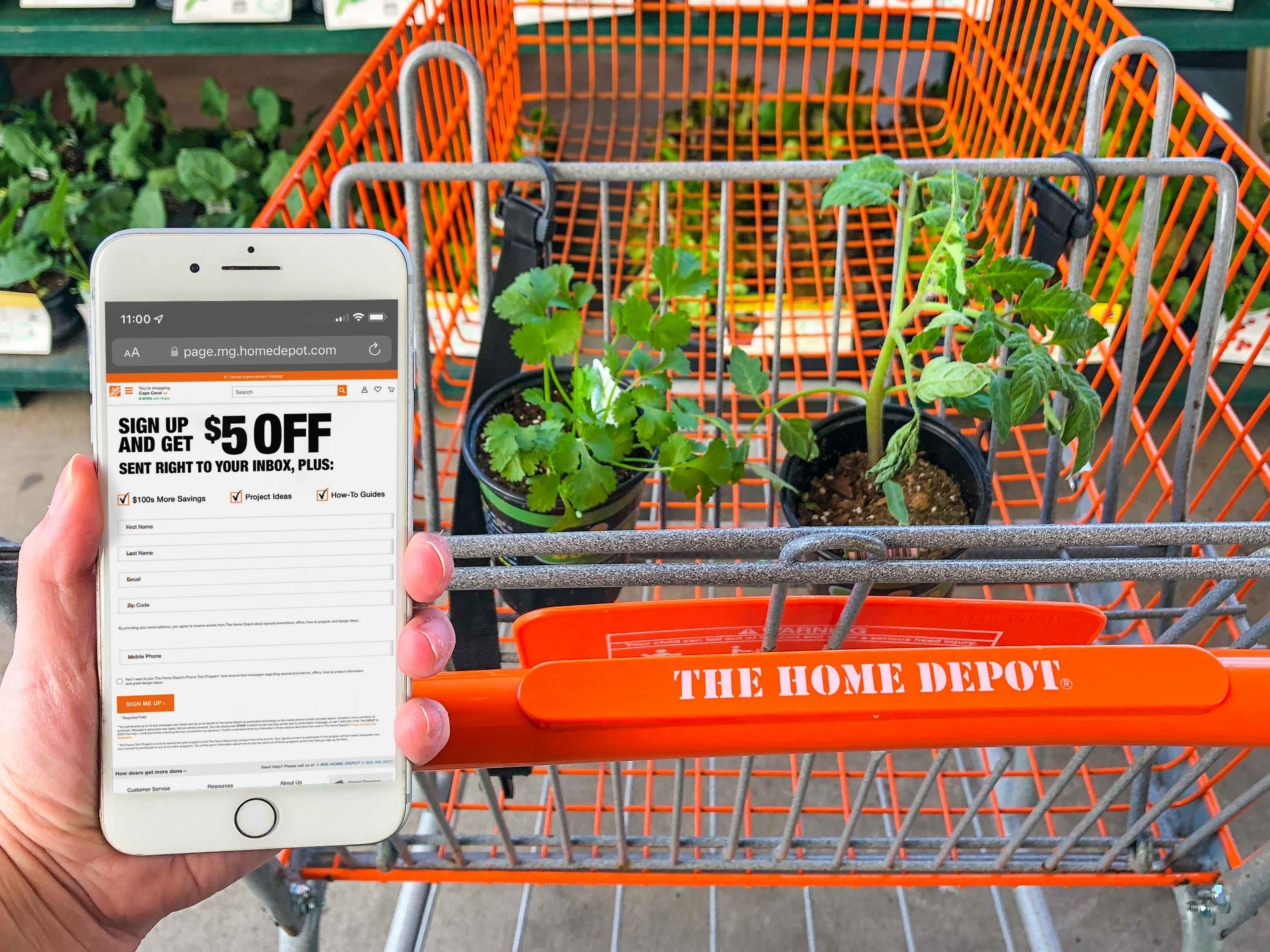 Home Depot Black Friday Sale 2024 How to Save Big The Krazy Coupon Lady