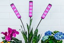 Lifestyle image of the Bell + Howell Clamp light (white brick wall in background with colorful flowers)