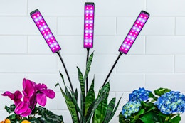 Lifestyle image of the Bell + Howell Clamp light (white brick wall in background with colorful flowers)