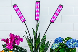 Lifestyle image of the Bell + Howell Clamp light (white brick wall in background with colorful flowers)
