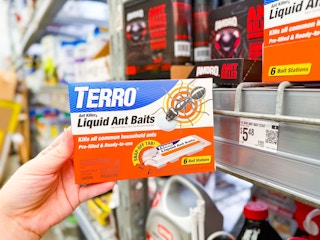 Walmart-Terro-ant-bait