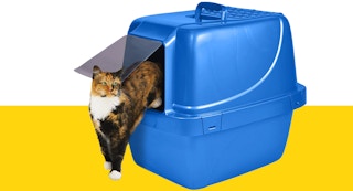 amazon van ness formula image 1686162098 1686162098