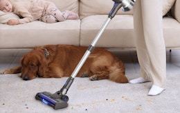 a person vacuuming the floor next to a dog