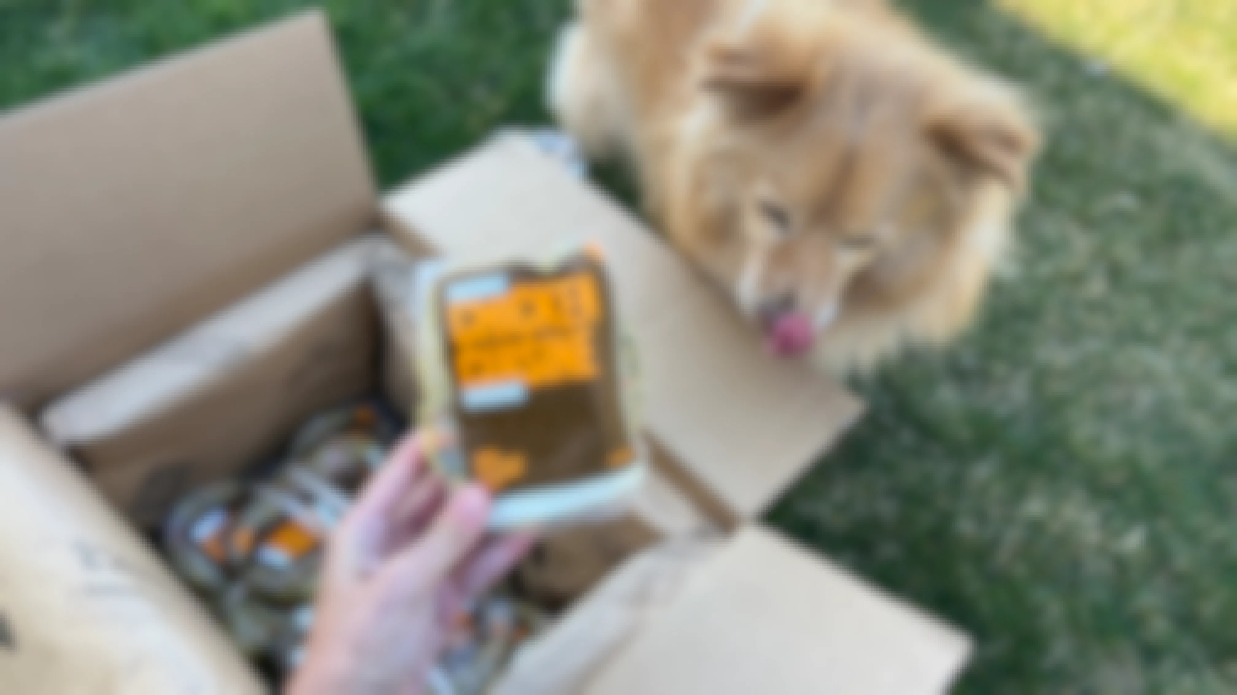 Nom Nom Sale: 60% Off Fresh Dog Food Delivered to Your Door