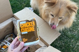 Treat Your Pup to Nom Nom Premium Dog Food — Now 60% Off With a Free Gift card image