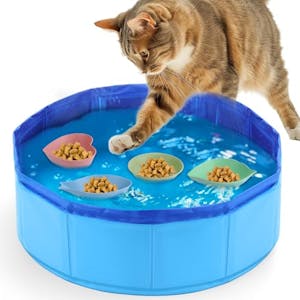 Cat Pool Toy