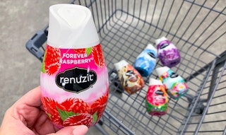 https://thekrazycouponlady.com/wp-content/uploads/2019/01/renuzit-walgreens-ve-18-1546977892.jpg