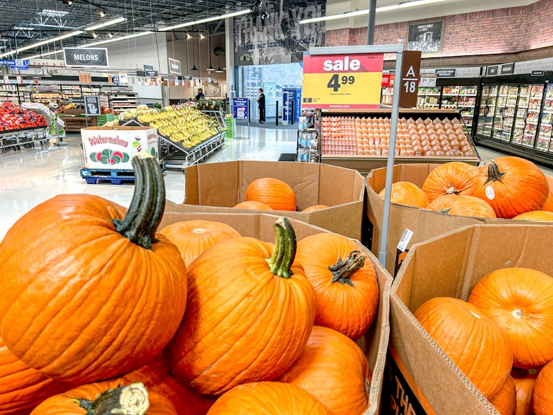 meijer-pumpkins-bins-kcl