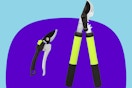 Tree loppers set on a purple and blue background.