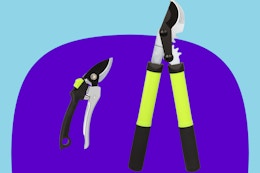 Tree loppers set on a purple and blue background.