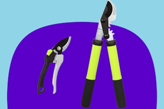 Tree loppers set on a purple and blue background.