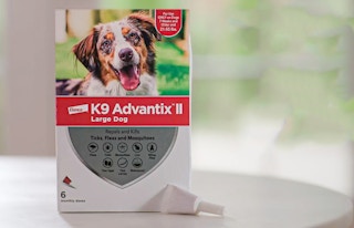 amazon k9 advantix flea tick treatment 1677102217 1677102217