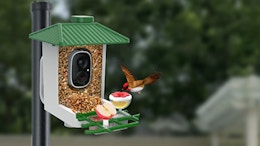 a smart bird feeder