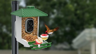 a smart bird feeder