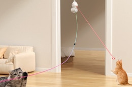 Interactive Cat Toy, Now Just $14.99 With Amazon Promo Code (Save 50%) card image