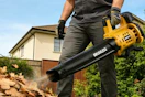 cordless leaf blower