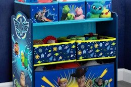 a toy organizer set