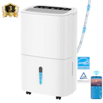 Dehumidifier