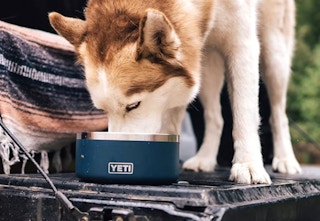 bark super chewer free yeti bowldec27 2022 p 1672174584 1672174584