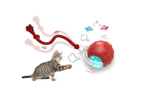 Interactive Cat Toy