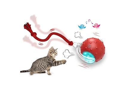 Interactive Cat Toy