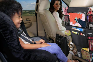 amazon car organizer B08DQS6TJ1