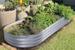 a galvanized garden bed