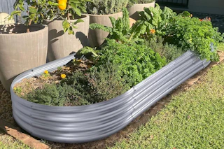 a galvanized garden bed