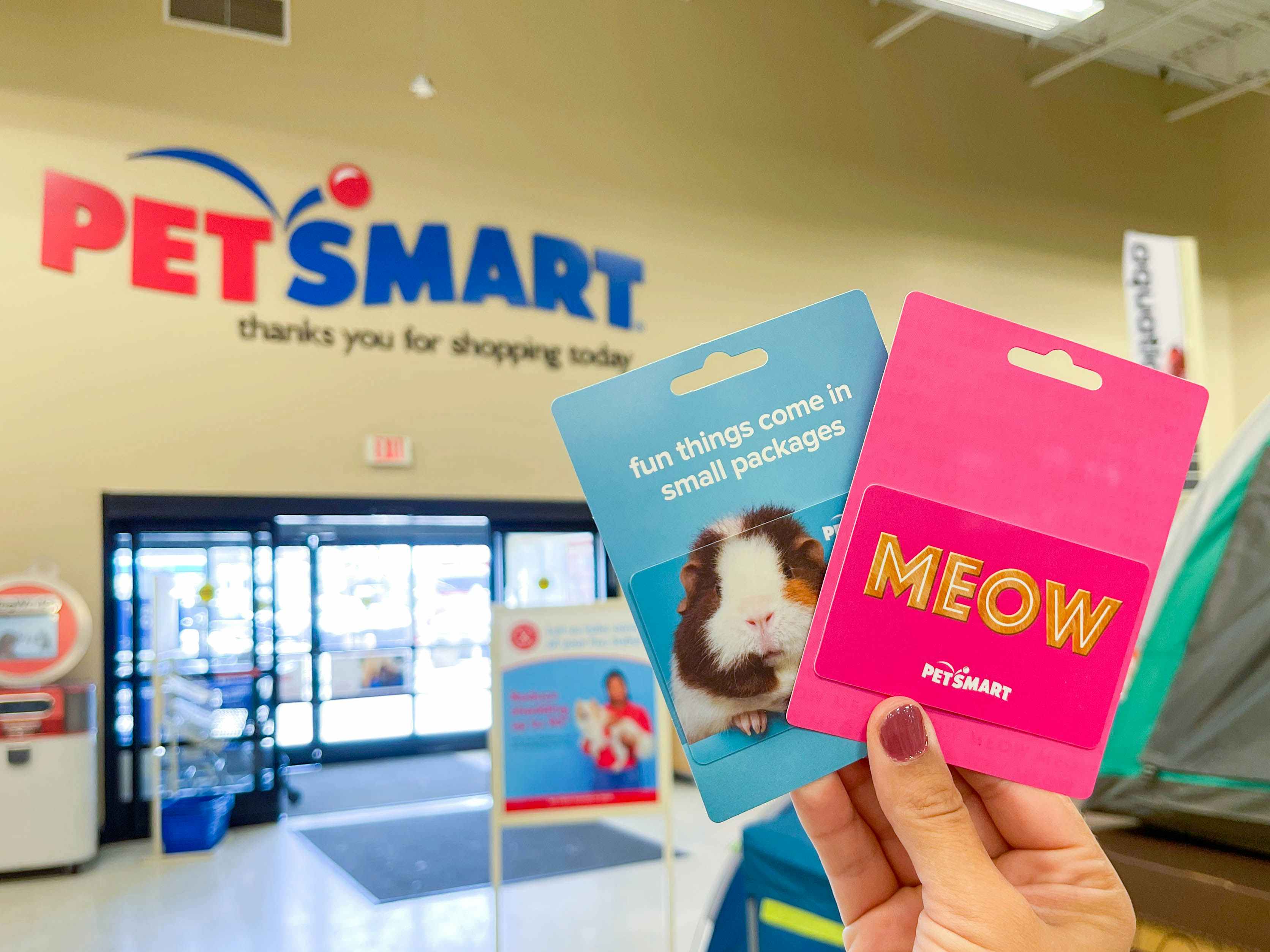 Two PetSmart gift cards being held up inside a PetSmart store, just inside the front door, with the PetSmart logo on the wall in the back...