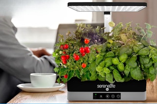 Indoor Herb Garden Kit