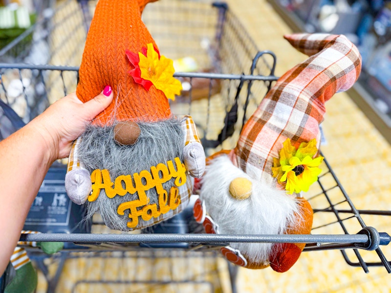 aldi-fall-big-gnome-1