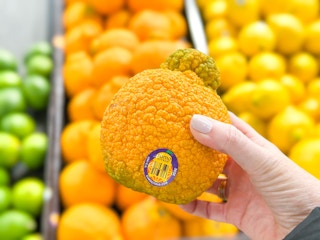 hand holding a sumo orange