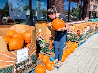 whole foods pumpkin price weight joanie demer 1695509946 1695509946