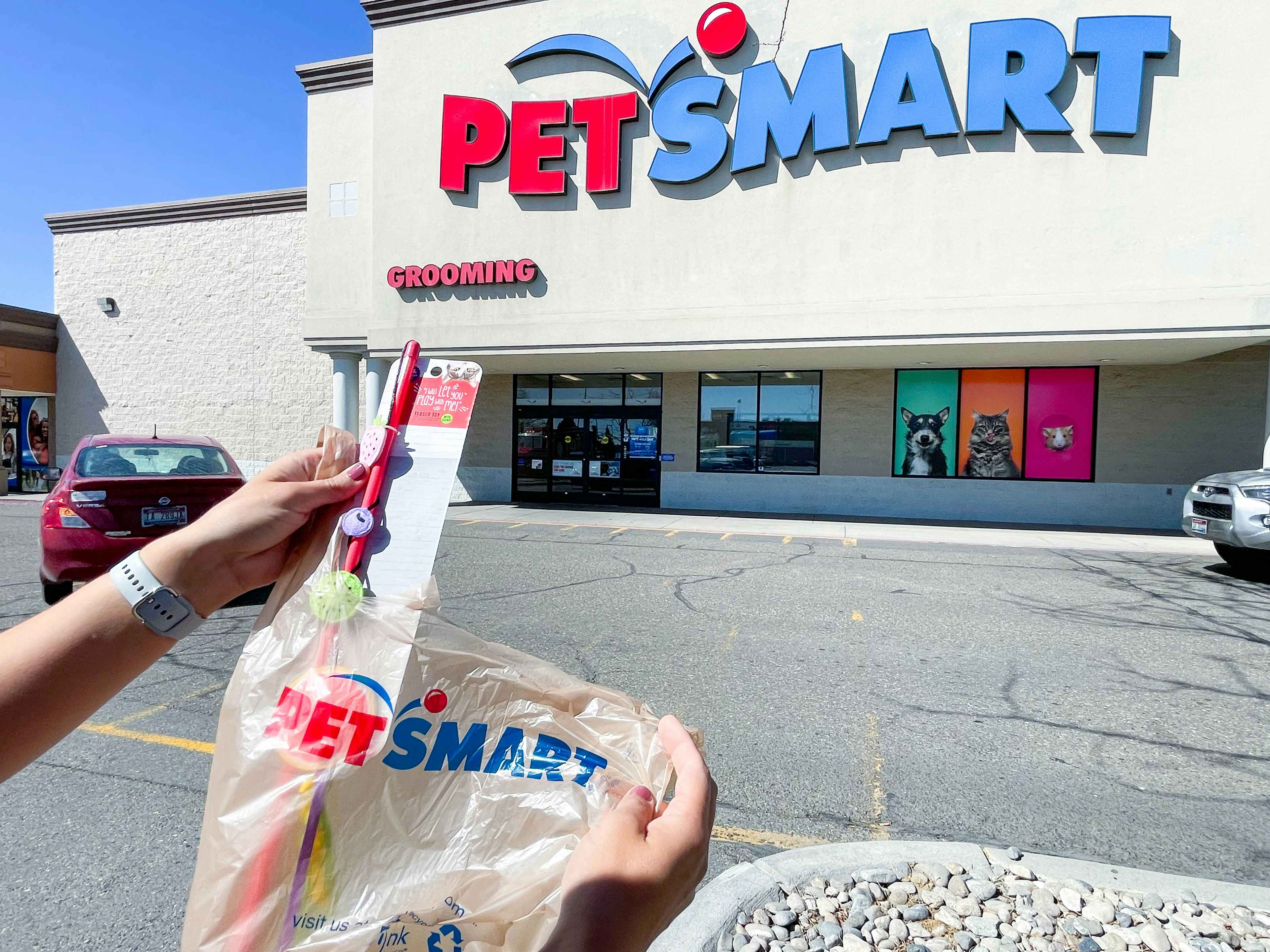 A person's hands holding up a PetSmart bag and pulling a cat toy out of it in the parking lot in front of a PetSmart store.