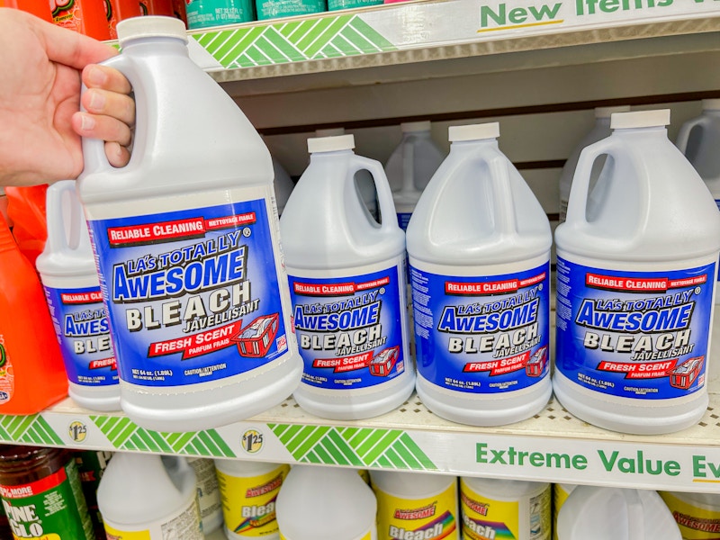 a person holding up bleach in a dollar tree